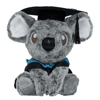 Koala Grad